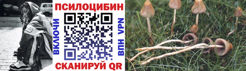 Галлюциногенные грибы Psilocybine cubensis  Кашин 